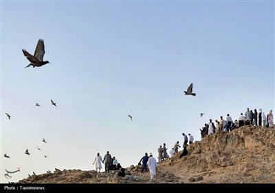 منطقه شهدای احد در مدینه منوره