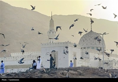منطقه شهدای احد در مدینه منوره