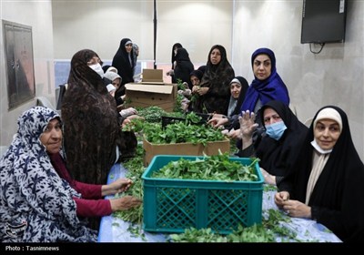 دیدار صمیمی سرپرست حجاج ایرانی با زائران کشورمان در مکه مکرمه