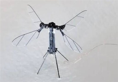 چين،بيونيك،فناوري،شناسايي،ميكرو،رباتيك،مينياتوري،نبرد