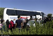 جابجایی 56 هزار زائر حج 1404 با ناوگان عمومی بینشهری