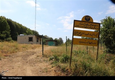 نادرترین گل جهان در داماش گیلان