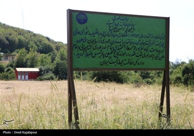 نادرترین گل جهان در داماش گیلان