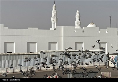 مسجد ذوقبلتین