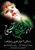 برگزاری همایش «شیرخوارگان» در 25 نقطه اردبیل