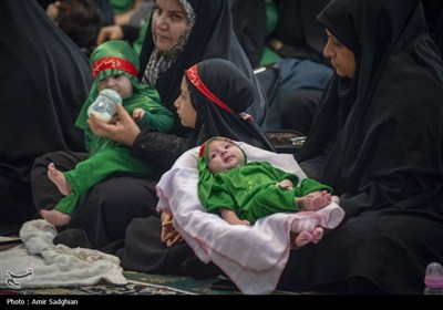 همایش شیرخوارگان حسینی - شیراز
