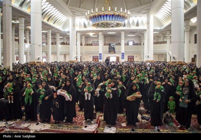 همایش شیرخوارگان حسینی - شیراز