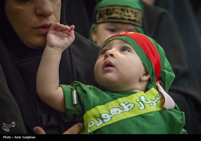 همایش شیرخوارگان حسینی - شیراز