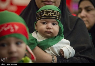 همایش شیرخوارگان حسینی - شیراز