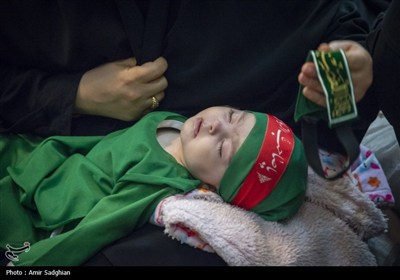 همایش شیرخوارگان حسینی - شیراز