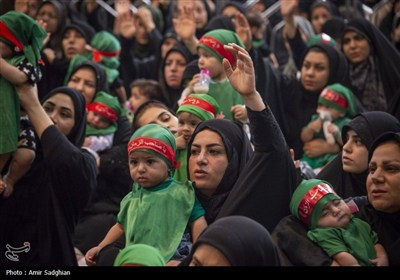 همایش شیرخوارگان حسینی - شیراز
