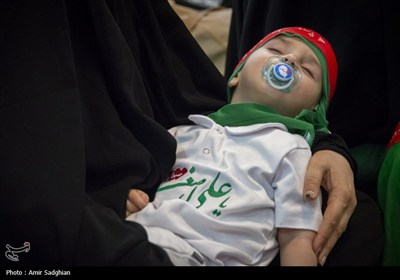 همایش شیرخوارگان حسینی - شیراز