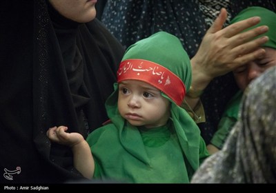 همایش شیرخوارگان حسینی - شیراز
