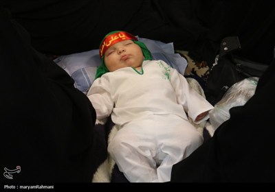 سوگواره &#171;شیرخوارگان حسینی&#187; در حرم امام رضا(ع)