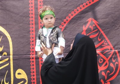 اصغر،سرزمين،علي،مادران،حضرت،حسيني،شيرخوارگان،شهادت،همايش،حسي ...