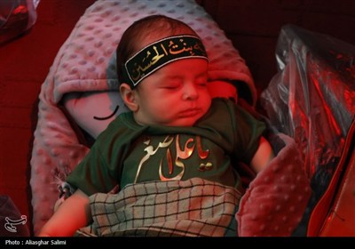 آئین شیرخوارگان حسینی در خراسان شمالی