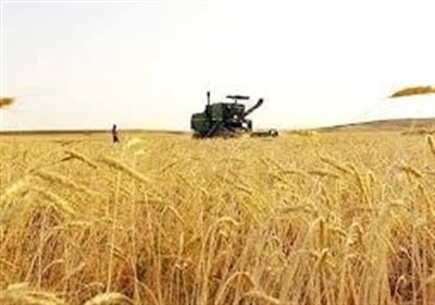 گرمي،شهرستان،حسيني،موكب،دسترنج،سيدالشهدا،اربعين