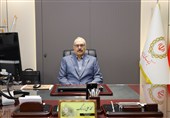 لزوم جذب تسهیلات بانکی مشاغل خانگی در خراسان جنوبی تا پایان تیرماه
