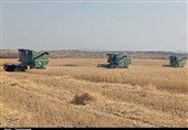 دستور عارف برای پرداخت مطالبات گندمکاران کرمانشاهی