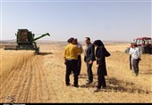 تذکر به وزیر کشاورزی درباره پرداخت سریع مطالبات گندمکاران