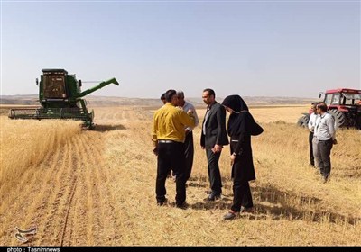 گندم،خريد،كشاورزان،تضميني،رطوبت،مناطق،كوهستاني،دستورالعمل،مط ...