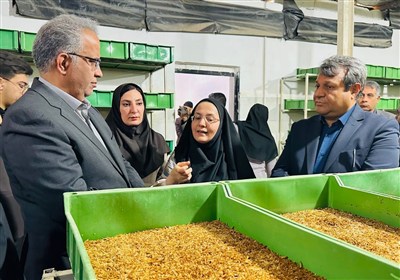 استان،كشاورزي،طرح،ورم،سيستان،پرورش،بلوچستان،ميل،خانگي،جهاد،ت ...