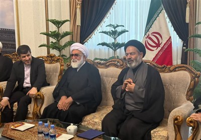 زائران،حج،نواب،عربستان،همراه،ايراني،ايران،خادمان،حجاج،مؤثر،م ...