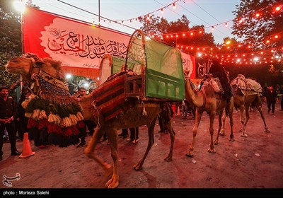 کاروان نمادین کربلا -مبارکه اصفهان