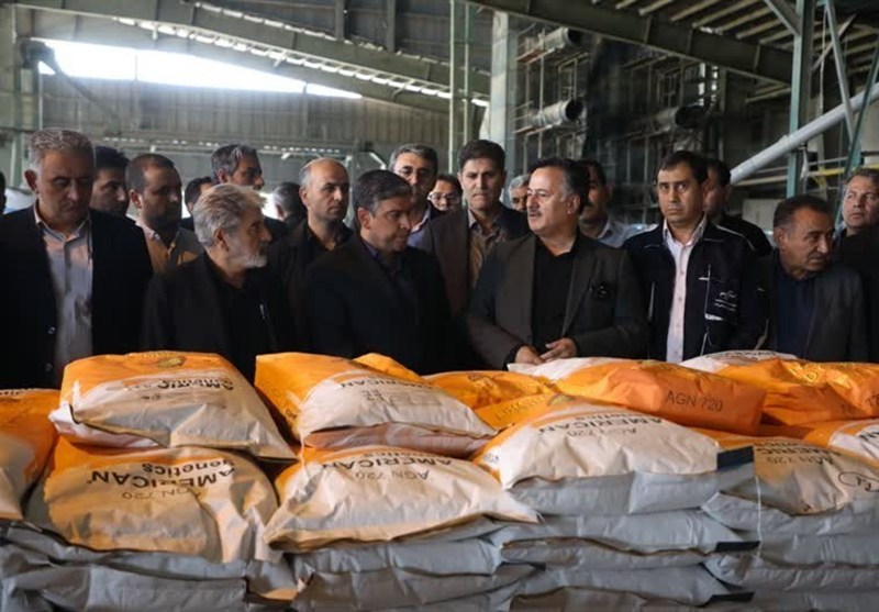 بدهی ذرت‌کاران به سرعت پرداخت شود