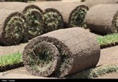 تبریز صاحب بهترین چمن هیبریدی تأییدشده فیفا میشود