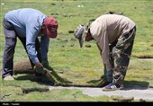 چمن ورزشگاه تختی شاهرود خشک شد