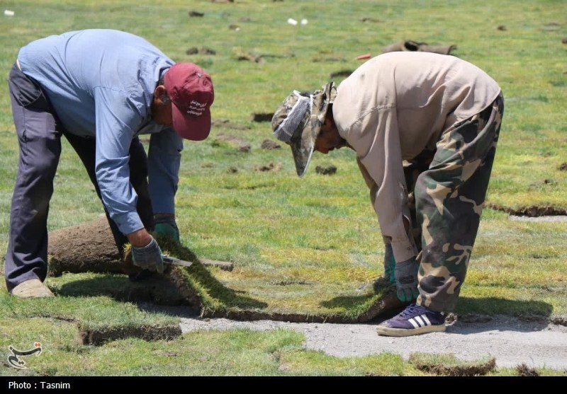 چمن ورزشگاه تختی شاهرود خشک شد