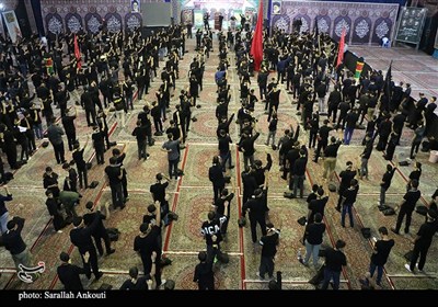 همایش احلی من العسل در کرمان