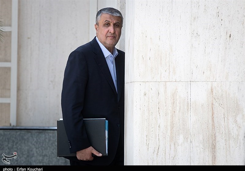 Interaction with IAEA in Conformity with Iran’s Parliamentary Law: Nuclear Chief