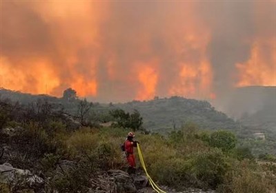 طبيعي،منابع،حفاظت،اختري،مراتع،يگان،خشكي،حريق