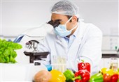 ساخت نانوحسگری که سلامت غذا را در 15 دقیقه آزمایش میکند