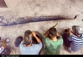 آیین سنتی حلیمپزی در خمرههای تاریخی فین؛ نذری که نسلها در محرم ادا میکنند