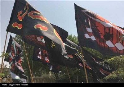 حرکت عزاداران در عاشورا حسینی در بوشهر