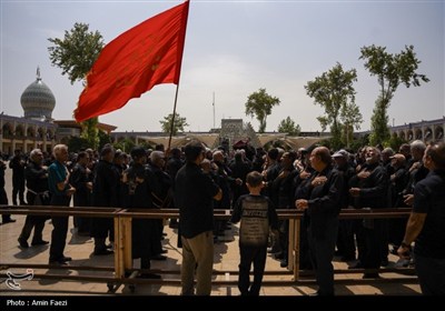 اشک و ارادت سوگواران شیرازی در سومین حرم