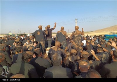 عاشورا،بن،خاك،آيين،حسين،شهر،عزاداران،آييني،كربلا،اشك،گل،زلال ...