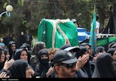 در سوگ شقایقهای سرخ عاشورا؛ اشک و ارادت در دهدشت+تصاویر