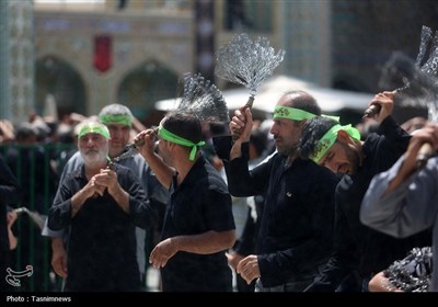 شور عاشورای حسینی در حرم کریمه اهل‌بیت(ع)
