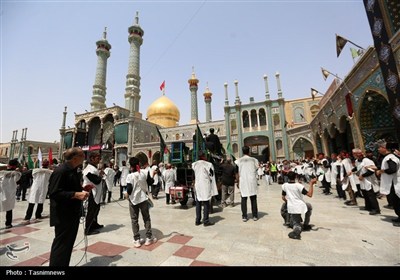 شور عاشورای حسینی در حرم کریمه اهل‌بیت(ع)