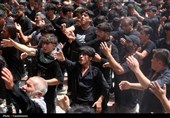 شور عاشورای حسینی در حرم کریمه اهل‌بیت(ع)