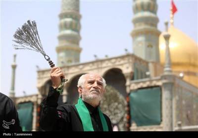 شور عاشورای حسینی در حرم کریمه اهل‌بیت(ع)
