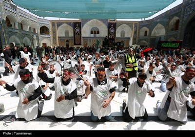 شور عاشورای حسینی در حرم کریمه اهل‌بیت(ع)