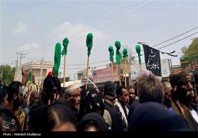 برگزاری آیین سنتی &#171;شیر و کتل&#187; در میناب