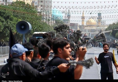 حرم،امام،عاشورا،عزاداري،زائران،رضوي،حسيني،حضور،ارادت،مطهر،اج ...