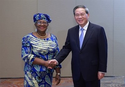 جهاني،تجارت،چين،اقتصاد،سازمان،تجاري،تأكيد،اقتصادي،WTO،چندجانبه