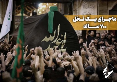 ماجرای یک نخل 700 ساله؛ اینجا مردم امام حسین(ع) را تشییع می‌کنند